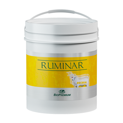 Ruminar Recria 25Kg