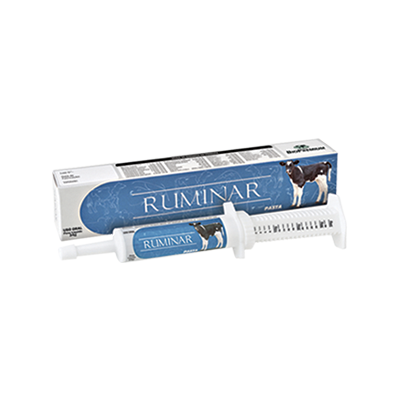 Ruminar Pasta