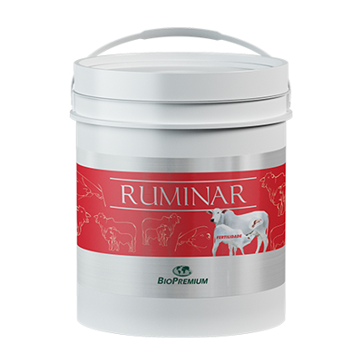 Ruminar Fetilidade 25Kg