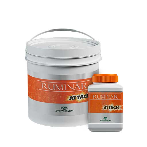 Ruminar Attack
